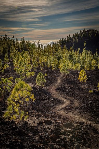 049 Tenerife, NP el Teide.jpg